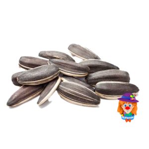 GIRASOL SEMILLA CASCARA 1000 Grs.