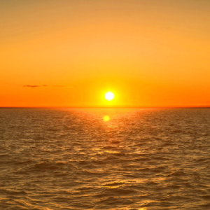 POW CARAMELO SUAVE 16 Pzs. Dulcilabs